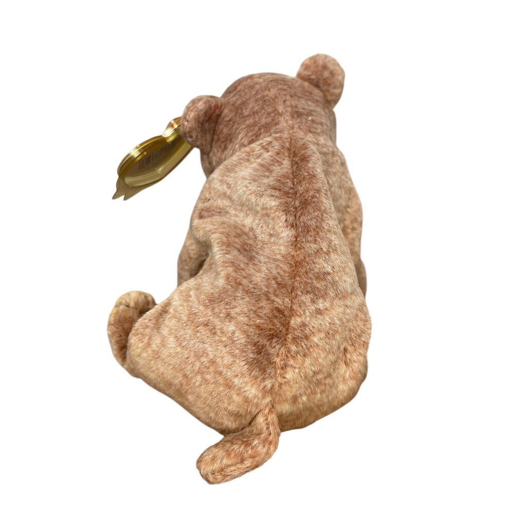 TY Beanie Baby - PECAN the Gold Bear (5.5 inch) - NWT Stuffed Animal Toy New - Picture 3 of 6
